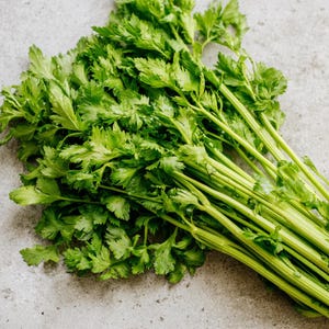 May include: A close-up shot of a fresh bunch of green celery with leafy tops. The celery stalks are a light green color, and the leaves are a vibrant green. The image is taken on a light gray surface.