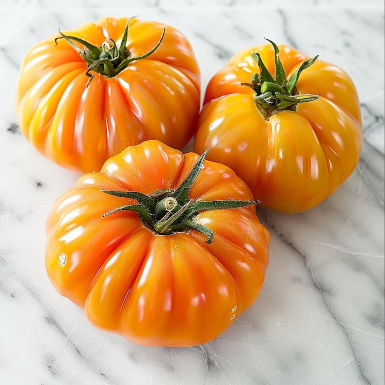 May include: Three ripe, heirloom tomatoes with a vibrant orange hue. The tomatoes have a ribbed texture and are topped with green stems. The image is a close-up shot, highlighting the freshness and natural beauty of the produce.
