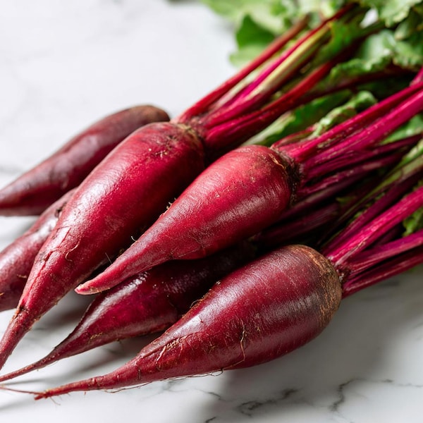 Cylindra Beet 150 Seeds | Heirloom Root Vegetable