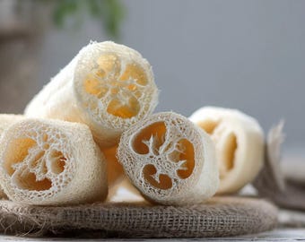 May include: Close-up of several natural loofah sponges. The loofahs are a light beige color with a porous, textured appearance. The cut ends reveal a complex internal structure. They are arranged on a burlap surface.