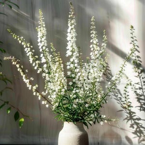 May include: A bouquet of white flowers in a cream-colored vase. The flowers have long stems with small white blossoms. The vase is textured and sits in front of a light-colored wall, with shadows cast across it.