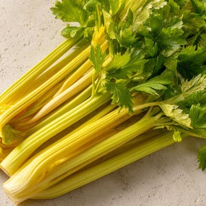 May include: A close-up shot of a bunch of fresh celery. The stalks are a pale yellow-green color, with vibrant green leaves at the top. The celery is arranged in a slightly diagonal composition, showcasing its texture and freshness.