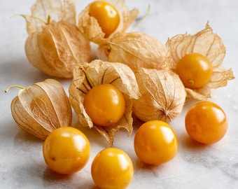 Organic Aunt Molly's Ground Cherry 25 Seeds | Sweet, Golden, Pineapple-Like Fruits