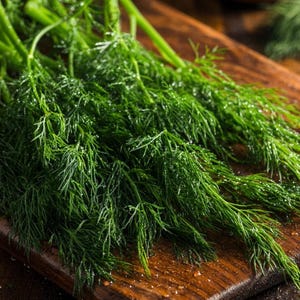 Organic Bouquet Dill Seeds – Anethum graveolens 100 Seeds | Aromatic Culinary Herb, Easy-to-Grow Annual bild 4