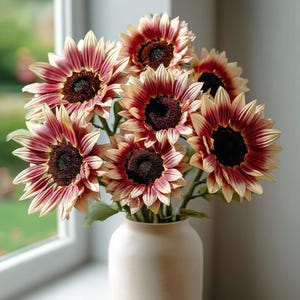May include: A bouquet of sunflowers with deep red and cream-colored petals and dark brown centers arranged in a smooth, matte-finished off-white vase. The flowers feature pointed petals that transition from a dark reddish-brown at the center to a light cream at the tips, creating a distinct gradient effect across the entire floral arrangement.