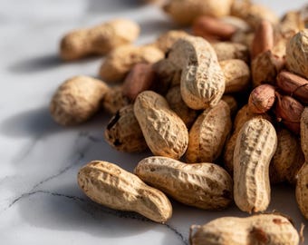 Virginia Jumbo Peanut 10 Seeds | Heirloom Large-Seed Peanuts for Gardens & Harvest