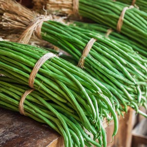 May include: Bundles of fresh, vibrant green string beans tied with twine. The beans are tightly packed, showcasing their slender, elongated shape. The image highlights the natural, organic appeal of the produce, suggesting a focus on fresh, healthy eating.