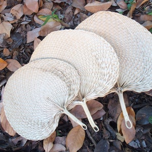 May include: Three woven fans of varying sizes, made of natural materials, are arranged on a bed of brown leaves. The fans are white and have a delicate, hand-crafted appearance.