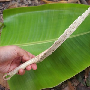 May include: A hand holds a woven, light brown, fan-shaped object against a green banana leaf.