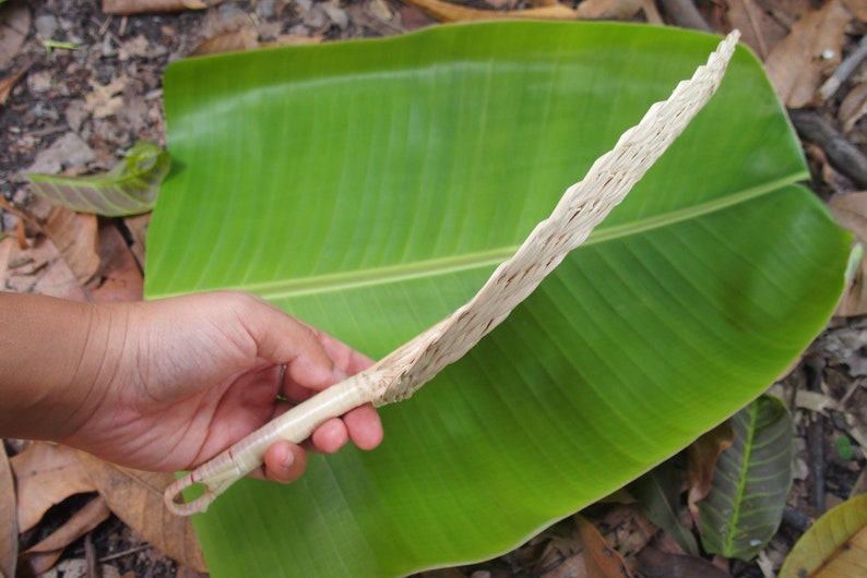 May include: A hand holds a woven, light brown, fan-shaped object against a green banana leaf.