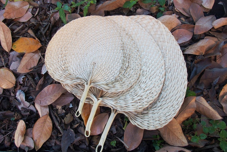 May include: A set of three woven fans, made of natural materials, are stacked on top of each other. The fans are light brown in color and have a circular shape. The fans are lying on a bed of brown leaves.