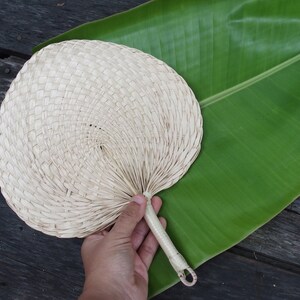 May include: A woven, light brown hand fan with a white handle. The fan is resting on a large green leaf.