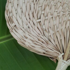 May include: A woven palm leaf fan with a natural beige color. The fan is lying on a green banana leaf.