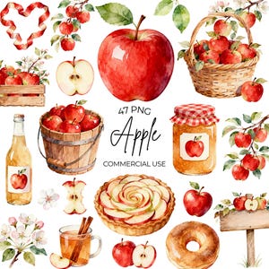 Op de afbeelding: Een verzameling aquarelillustraties met rode appels, een gevlochten mand, een houten kist, een glazen fles, een jampot met een geruit deksel, een appeltaart, een donut, appelbloesems en kaneelstokjes met de tekst 47 PNG Apple.