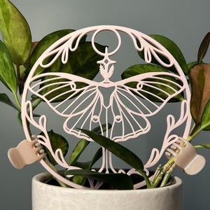 May include: A light pink, laser-cut moth and floral design plant stake. The stake is placed in a white ceramic pot with green and red-tinged leaves. The background is a solid, muted teal colour.