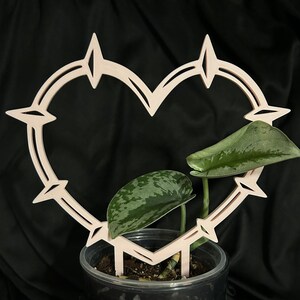 Spiked Heart Plant Trellis | Dark Romance Houseplants Support