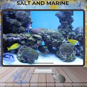 May include: An aquarium scene with colorful fish swimming among coral and rocks. The text "SALT AND MARINE" is at the top. The image is displayed on a screen with a mouse and the word "MAGICZOOM" at the bottom.