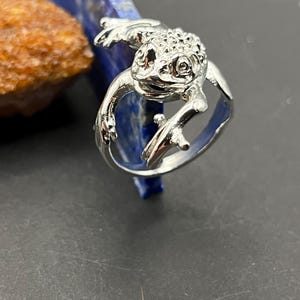 Puede incluir: Anillo plateado con un diseño detallado de una rana sobre una rama. La rana está representada con detalles finos. El anillo se muestra sobre un fondo azul y marrón, resaltando su diseño.