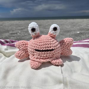 May include: A handmade pink crochet crab with white eyes and a black smile. The crab is sitting on a white and purple striped blanket on a sandy beach. The text "Crochet With Haylee" is visible in the bottom left corner.