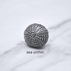 Peut inclure: Coquille d'oursin grise d&eacute;taill&eacute;e avec une surface textur&eacute;e et un motif en forme d'&eacute;toile. Les mots "sea urchin" sont imprim&eacute;s en dessous. Le fond est une surface en marbre blanc.