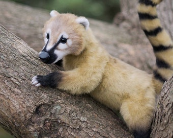 Baby Coati - realistic poseable toy