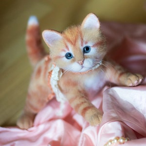 Puede incluir: Un gatito tabby jengibre con un collar de encaje rosa y blanco se sienta sobre una tela de sat&eacute;n rosa con un collar de perlas. El gatito tiene ojos azules y mira directamente a la c&aacute;mara.