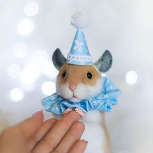 May include: A small, white and brown hamster wearing a blue and white party hat and a blue and white ruffled collar. The hamster is standing on a hand.