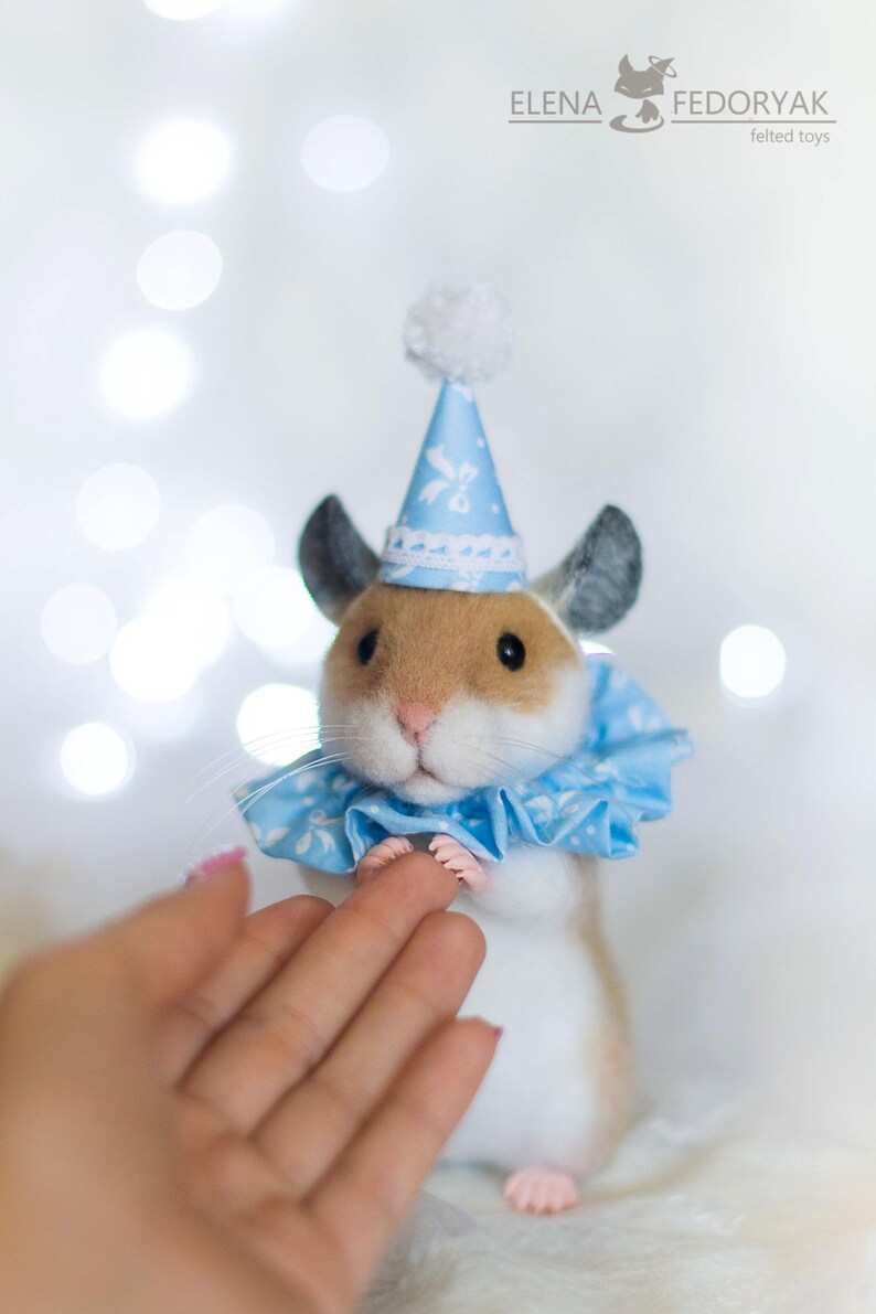 May include: A small, white and brown hamster wearing a blue and white party hat and a blue and white ruffled collar. The hamster is standing on a hand.