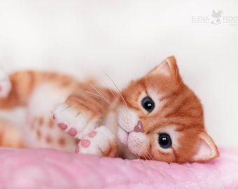 Gatito recién nacido Simba. OOAK artista Animal realista coleccionable hecho a mano por foto juguete flexible articulado MADE ro ORDER