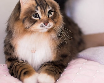 クイーン - ノルウェージャンフォレストキャット - リアルな等身大の猫