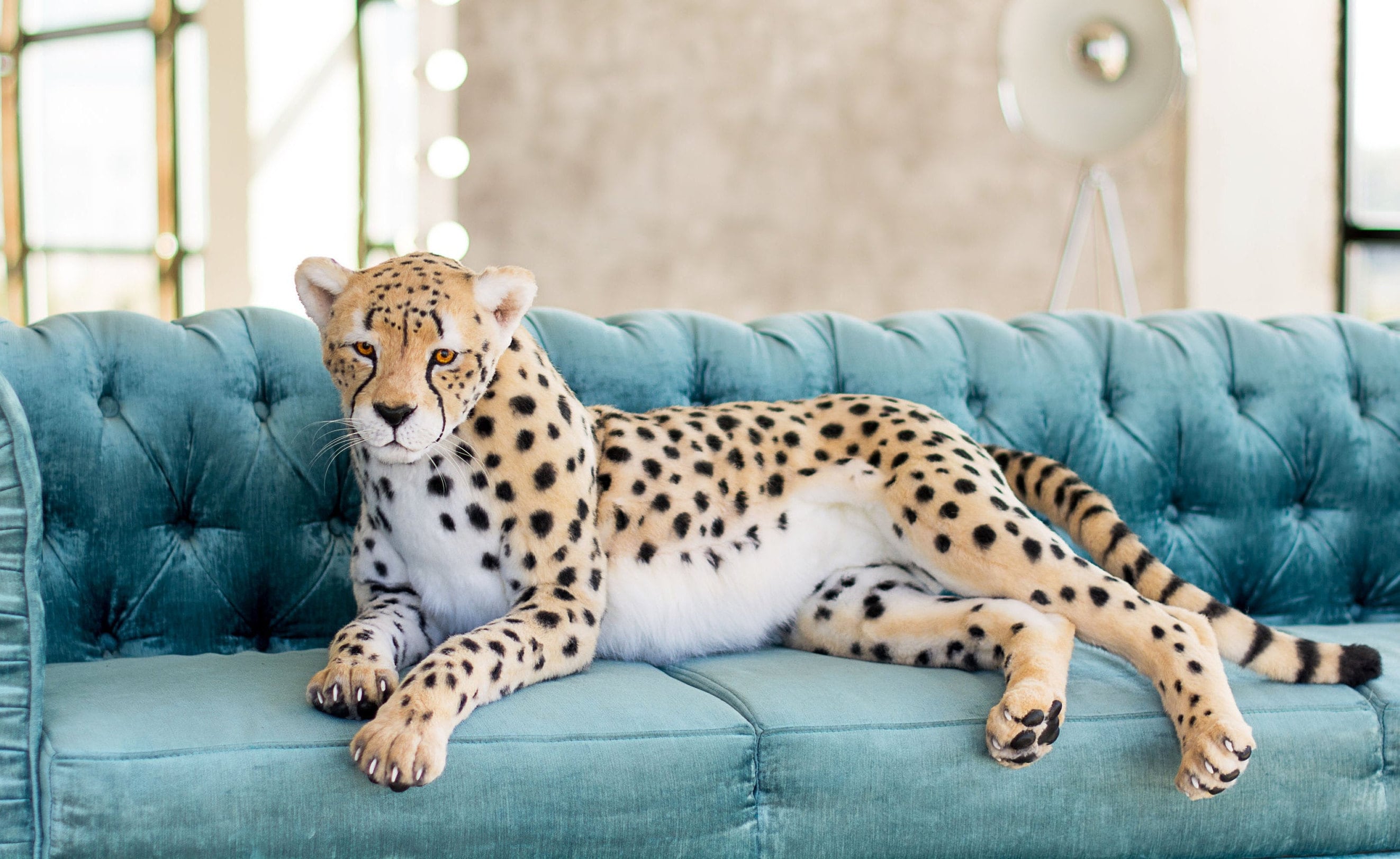 Realistic Cheetah Stuffed Animal - Etsy Denmark Realistic Cheetah Stuffed Animal - Etsy Denmark