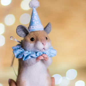 May include: A small, white and brown hamster wearing a blue and white party hat with a white pom-pom on top. The hamster is wearing a blue and white ruffled collar and is holding its paws together in front of its chest. The hamster is sitting in the palm of a person's hand.