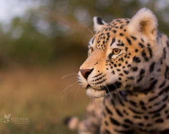 Jaguar Blaze - Realistic toy - faux taxidermy. OOAK artist Handmade collectible animal by photo poseable toy MADE to ORDER