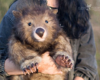 Wombat Chubby