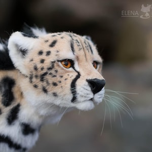 May include: A plush cheetah head with a cream-colored face, black spots, and orange eyes. The cheetah has black markings around the eyes and nose, with long white whiskers. The fur is a mix of cream, black, and white. The background is blurred.
