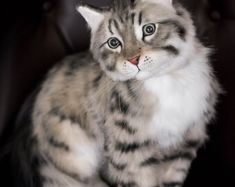 シャドウ - リアルな等身大の猫。OOAKアーティストが手作りした