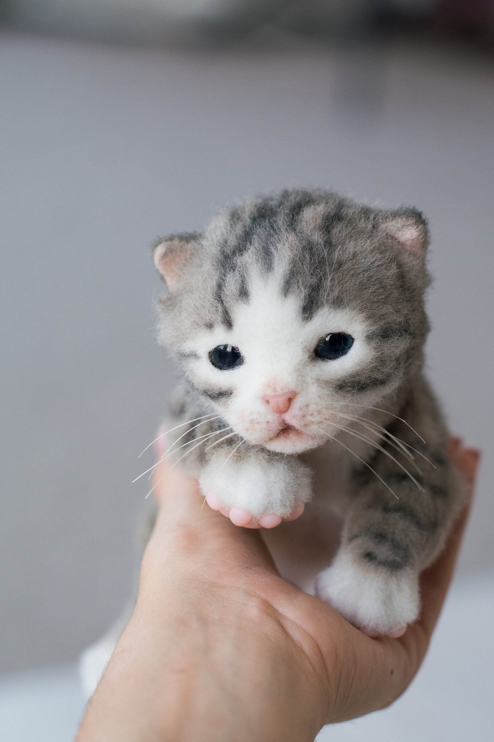 新しい命。母猫と3匹の子猫。OOAKアーティストが手作りした、写真