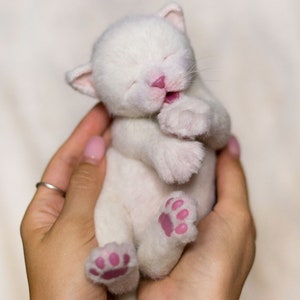 Newborn Kitten Sugar. OOAK artist Handmade collectible realistic animal by photo poseable bendable toy. MADE to ORDER