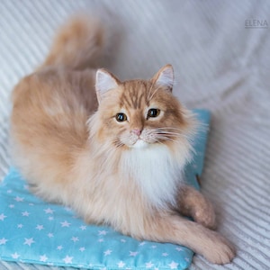 Cat Maddy. Realistic toy. OOAK artist Handmade collectible animal by photo art doll poseable toy. MADE to ORDER