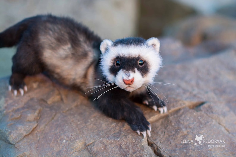 Ferret - Realistic Poseable Toy (MADE to ORDER) - Etsy