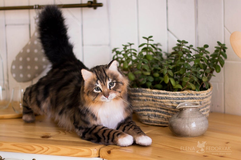 Queen Norwegian Forest cat Realistic life size cat. OOAK artist Handmade collectible animal by photo. MADE to ORDER image 6