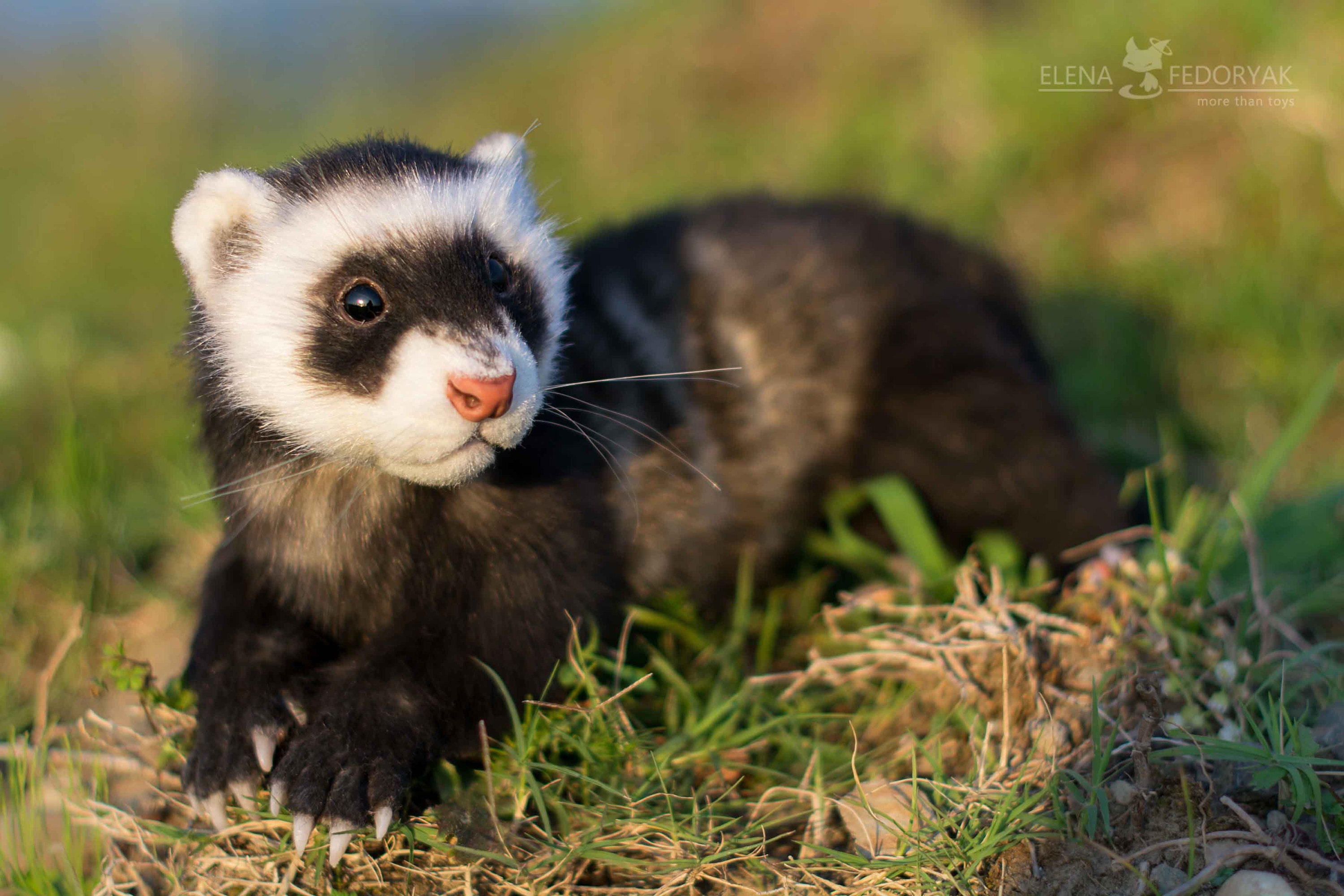 フェレット - リアルなポーズが取れるおもちゃ（オーダーメイド