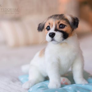 Puede incluir: Un pequeño juguete de peluche de perro blanco, marrón y negro sentado en un cojín con estampado azul y blanco. El perro tiene la nariz negra y los ojos marrones.
