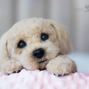 Maltipoo puppy. Realistic toy. OOAK artist Handmade collectible animal by photo art doll poseable toy