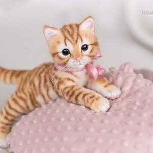 Kitten Shiny Realistic toy. OOAK artist Handmade collectible animal by photo poseable toy MADE to ORDER image 6