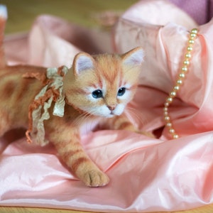 Puede incluir: Un gatito tabby jengibre con un lazo de encaje se sienta sobre una tela de sat&eacute;n rosa con un collar de perlas.