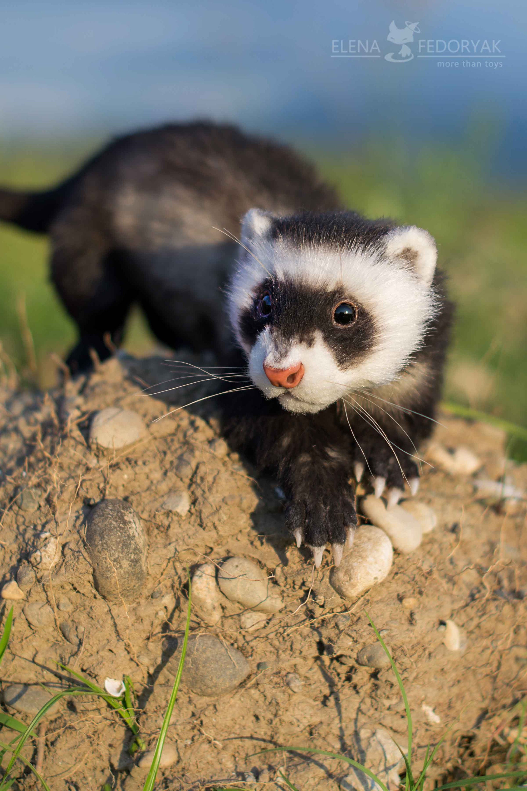 Ferret Realistic Poseable Toy MADE to ORDER - Etsy