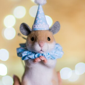 May include: A small, white and brown hamster wearing a blue and white party hat with a white pom-pom on top. The hamster is wearing a blue and white ruffled collar and is sitting on a hand.