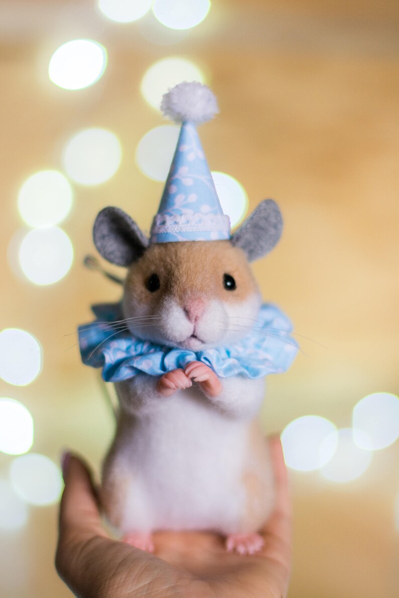 May include: A small, white and brown hamster wearing a blue and white party hat with a white pom-pom on top. The hamster is wearing a blue and white ruffled collar and is sitting on a hand.
