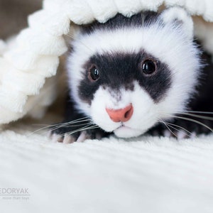 Ferret - realistic poseable toy (MADE to ORDER)